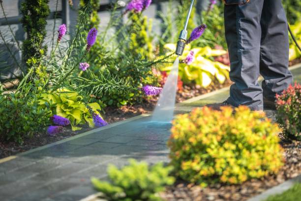 Best Parking Lot and Garage Cleaning  in Allison, IA