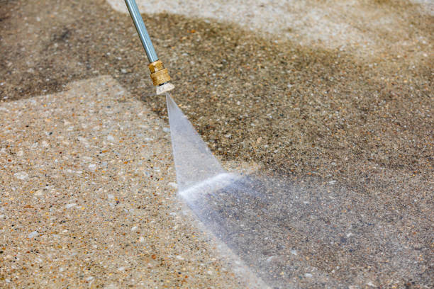 Best Pre-Holiday Cleaning  in Allison, IA
