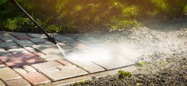 Best Driveway Pressure Washing  in Allison, IA