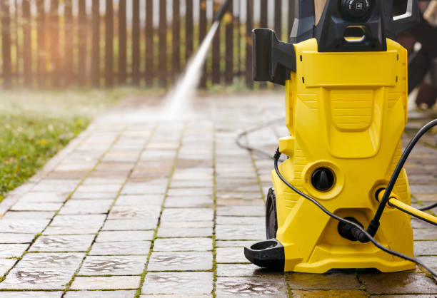Best Animal Enclosure Cleaning  in Allison, IA